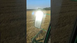 уборка пшеницы 2023
