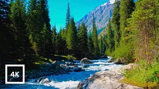 4K Mountain River Rapids in Evergreen Forest | Snow-Peaked Mountain | Relaxing Nature Ambience