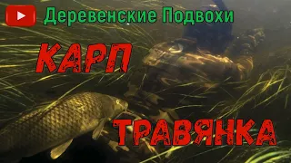 Подводная охота. Снова наши дикие места с карпами. Из грязи в зиму.