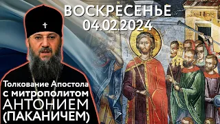 Воскресенье, 4 февраля 2024 года. Толкование Апостола с митр. Антонием (Паканичем).