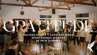 "Gratitude" - Melissa Helser | Spontaneous Moment | #18inchjourney