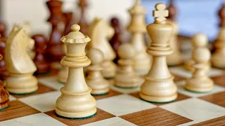Тема Дня 20 07 21 - День шахів