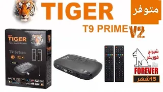 tiger t9 prime v2