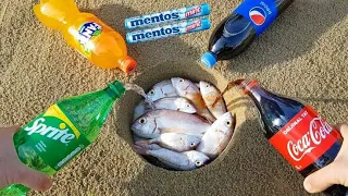 Experiment:Sprite,Fanta,Pepsi,Coca Cola and Mentos vs Fish in Underground!