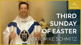 Third Sunday of Easter - LIVE Mass with Fr. Mike Schmitz