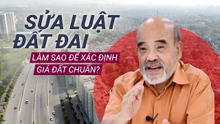 Giáo sư Đặng Hùng Võ: Đừng sửa đổi Luật Đất đai "trong phòng có máy lạnh" | VTC Tin mới