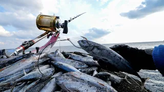 巨大魚の楽園で最高峰の超大物釣り。ブッコミで想像を遥かに超える怪物が掛かった…【湯瀬黒島編】