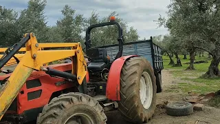 Vamos a por paquetes para alimento,y tengo que correr por ataques de alimañas a la oveja