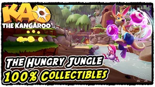 Kao The Kangaroo The Hungry Jungle All Collectibles (Runes, Crystals, Scrolls, KAO, Chests)