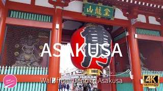 【4K】Asakusa Special Food & Shop Street   -   Walk form Ueno to Asakusa  in Tokyo