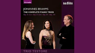 Piano Trio No. 1 in B Major, Op. 8 (revised version, 1889) : I. Allegro con brio