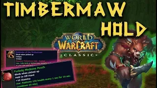 Timbermaw Hold Reputation | Classic WoW | Furbolg Medicine Pouch