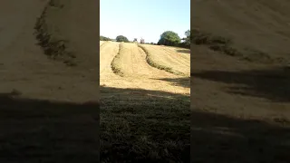 2018 silage cut