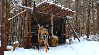 Building Primitive Survival Shelter in the Forest! | Natural Materials, Axe, Saw, Tarp, Rope