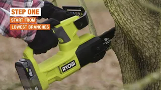 How to Prune Trees | The Home Depot Canada