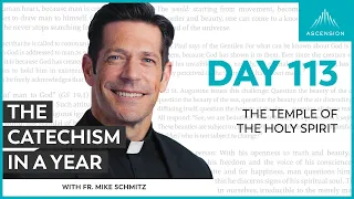 Day 113: The Temple of the Holy Spirit — The Catechism in a Year (with Fr. Mike Schmitz)