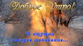 С Добрым Зимним Утром, друзья! Доброе утро февраля! Музыкальная открытка.