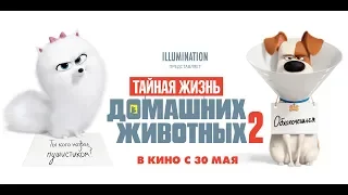 Тайная жизнь домашних животных 2 (2019) 6+ (Русский трейлер)