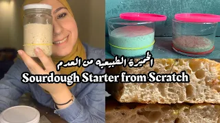 Starter from scratch - طريقة عمل الخميرة الطبيعية