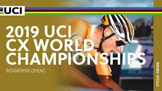 2019 UCI Cyclo-cross World Championships - Bogense (DEN) / Men Elite