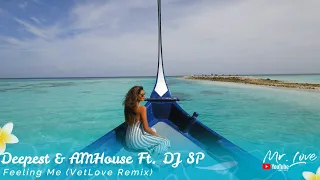 Deepest & AMHouse Ft. DJ SP - Feeling Me (VetLove Remix)