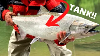 Spring Chinook Salmon Fishing In Oregon (Bank Fishing)