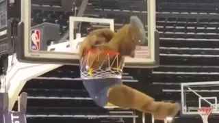 Sports Mascot Fails