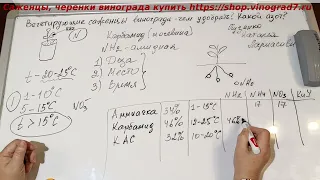 Чем подкормить вегетирующие саженцы винограда? В какой форме дать азотные удобрения и почему?