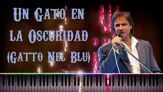 Roberto Carlos - Un Gato En La Oscuridad (Gatto Nel Blu) [Piano Tutorial]