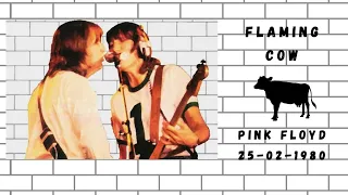 Pink Floyd Full Concert, The Nassau Coliseum, New York 25 February 1980