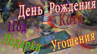 День Рождения Котика! Красная икра и яйцо пашот #Котовщина