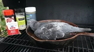 Hunting, Cleaning and Cooking Feral Pigeons! (BAD IDEA??)