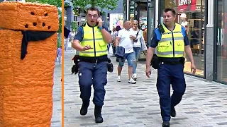 The Carrot Scared the Police !! Angry Carrot Prank !!