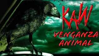 Kaw: Venganza Animal - Cuervos Asesinos PELÍCULA COMPLETA | Películas de Terror | LA Noche de Pelis