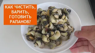 Как чистить, варить и мариновать РАПАНЫ? ВСЕ СЕКРЕТЫ НЕЖНОГО МЯСА РАПАНА