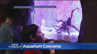 SeaQuest Aquarium Opening In Folsom Raises Concerns