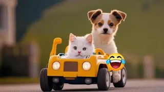 🐕😍 Funniest Cats and Dogs 😂😂 Best Funny Animal Videos #16