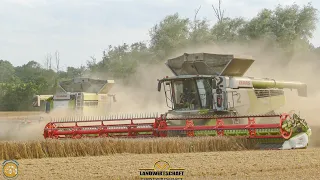 WIR SCHAFFEN HEKTAR 2 Claas Lexion 8900 Mähdrescher in der Getreideernte Landwirtschaft Ernteeinsatz