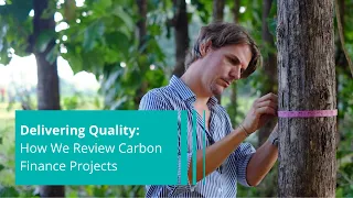 Delivering Quality: How We Review Carbon Projects