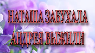 ЖЗЛ. Я В ШОКЕ. НАТАША ПЬЕТ. АНДРЕЯ ВЫЖИЛИ.