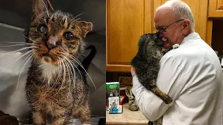 Ветеринар обнимает старого 15-летнего кота и дальше происходит невероятное