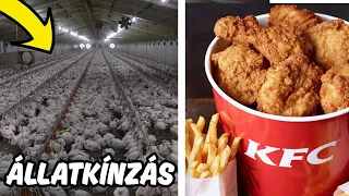 SHOCKING THINGS KFC doesn't want you to know about !!!