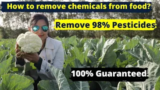 Remove Pesticides & Wax From Fruit & Vegetables (Practical Solution) /  Samyuktha Diaries