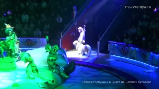 В цирке Никулина на Цветном бульваре идет новогоднее представление – Конек-Горбунок (Москва)