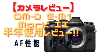 【カメラレビュー】OM-D E-M1 Mark II半年使用レビュー!! （AF性能・静態編）やっぱりOLYMPUSすげーわ!!