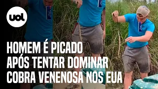 Homem é picado por cobra venenosa nos EUA ao tentar dominá-la enquanto bebia cerveja; veja vídeo