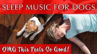 Deep Sleep Music for Dogs and Humans | 432 Hz Black Screen