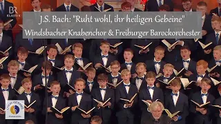 J.S. Bach: "Ruht wohl, ihr heiligen Gebeine" | Windsbacher Knabenchor & Freiburger Barockorchester