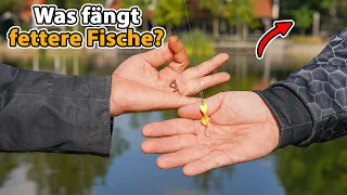 Erstaunlich: Plumsangeln am Forellenteich wie früher!