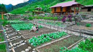 Sang and Vy build a farm gate, how to garden, take care of vegetables, and raise livestock - Sang Vy
